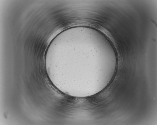 X0000099531242200806131120