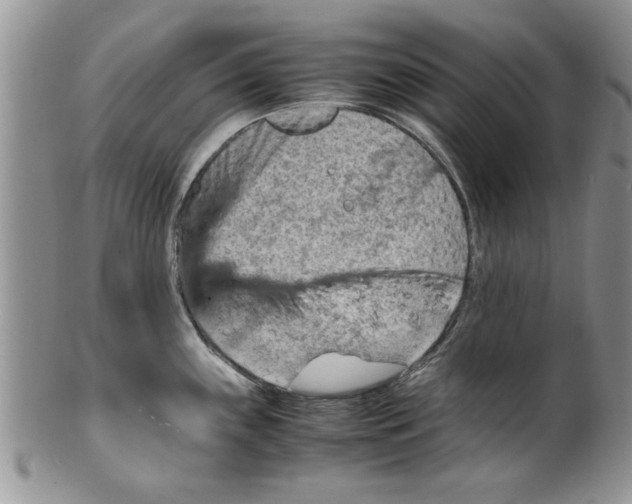 X0000099531243200806131120