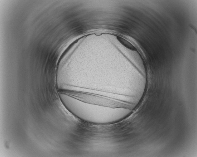 X0000099531244200806131120