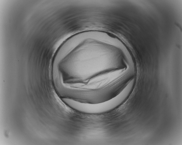 X0000099531246200806131120