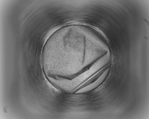 X0000099531247200806131120