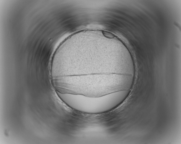 X0000099531248200806131120