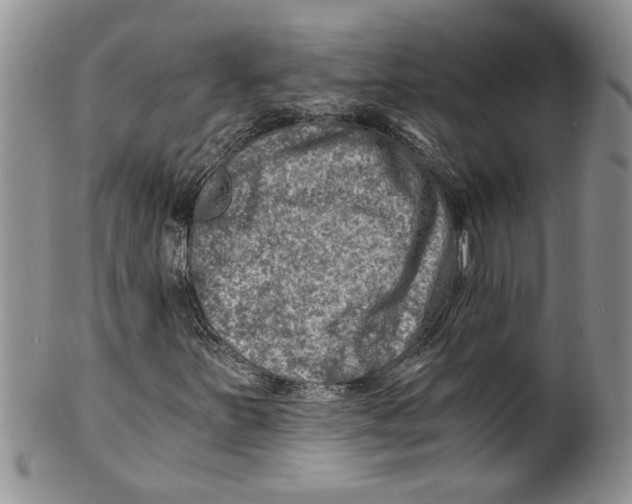 X0000099531251200806131120