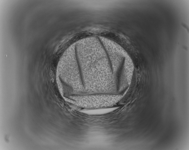 X0000099531253200806131120