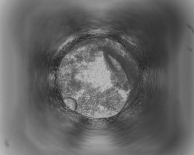 X0000099531254200806131120