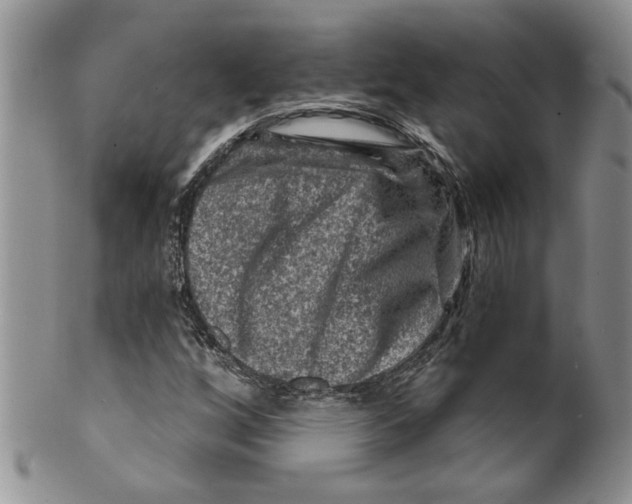 X0000099531256200806131120