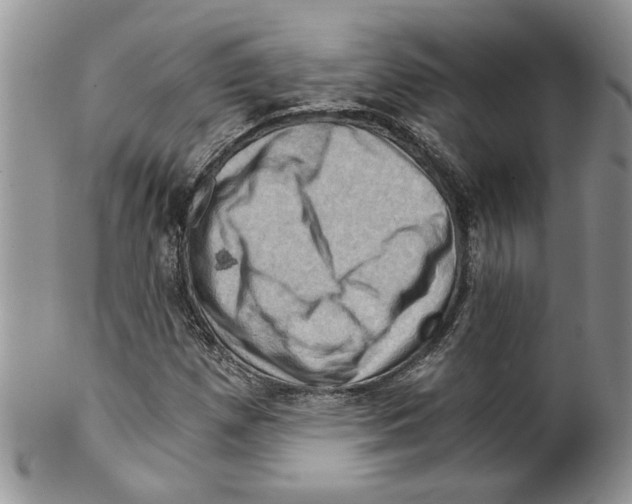 X0000099531257200806131120