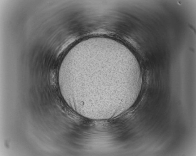 X0000099531258200806131120