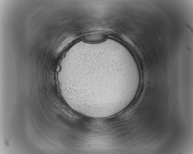 X0000099531259200806131120