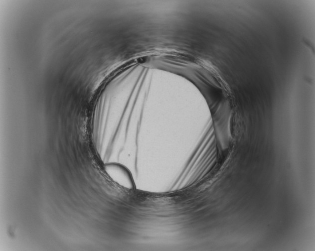 X0000099531260200806131120