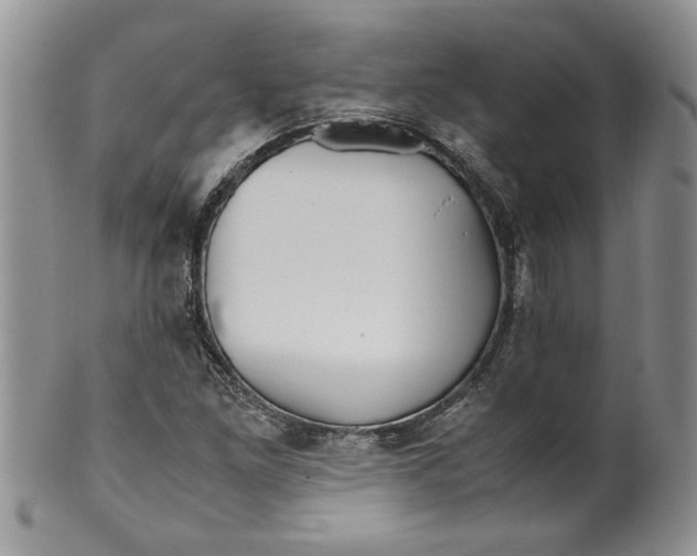 X0000099531261200806131120