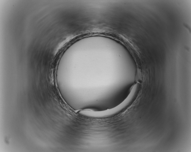 X0000099531262200806131119