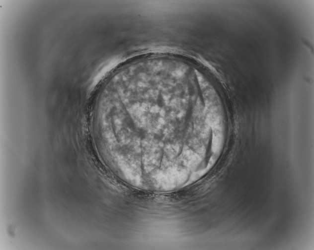 X0000099531263200806131119