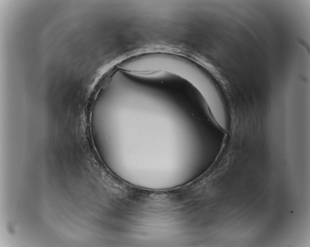 X0000099531264200806131119