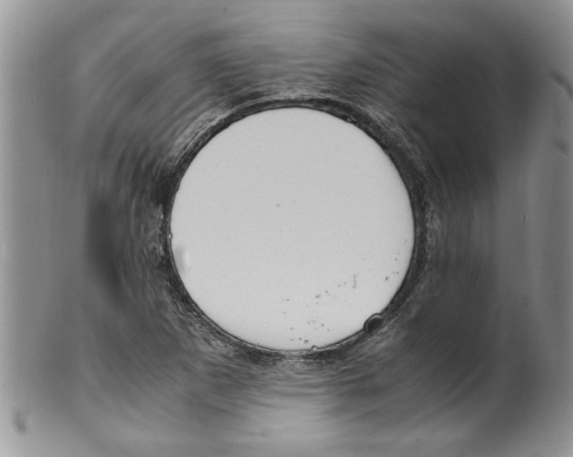 X0000099531265200806131119