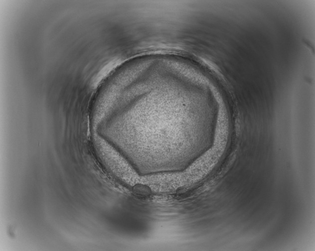 X0000099531267200806131119