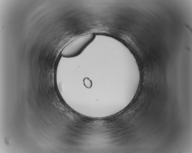 X0000099531268200806131119