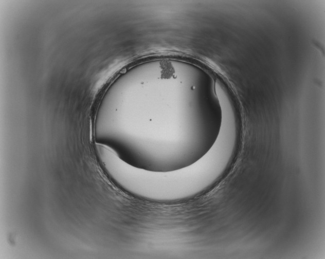 X0000099531269200806131119