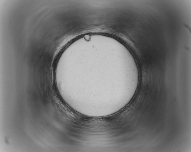 X0000099531270200806131119