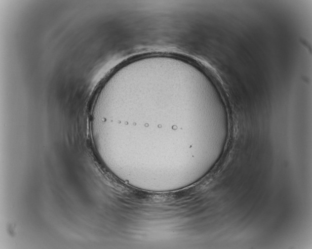 X0000099531271200806131119