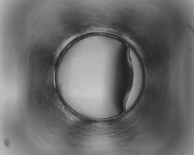 X0000099531272200806131119