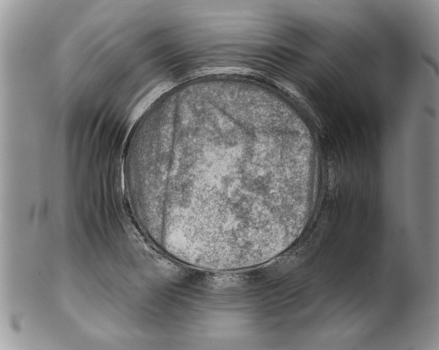 X0000099531274200806131119