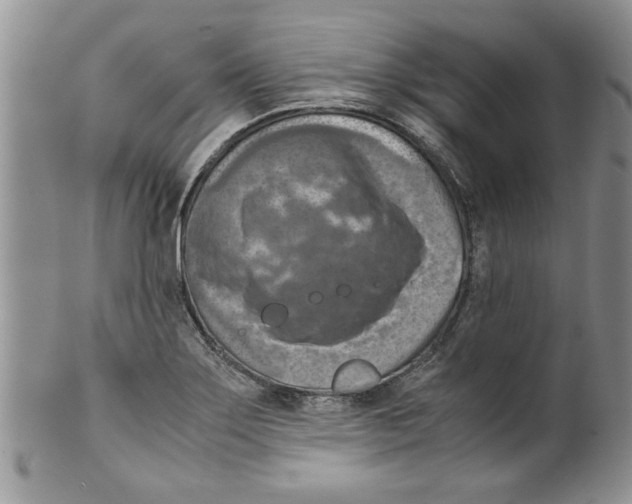 X0000099531275200806131119