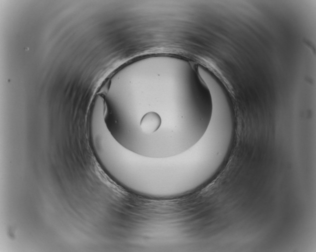 X0000099531276200806131119