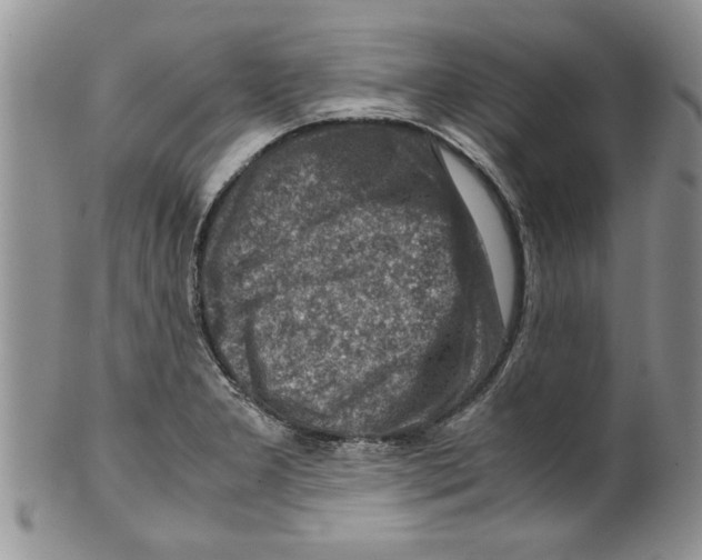 X0000099531277200806131119