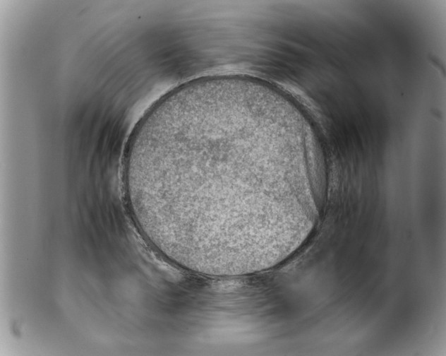 X0000099531278200806131119