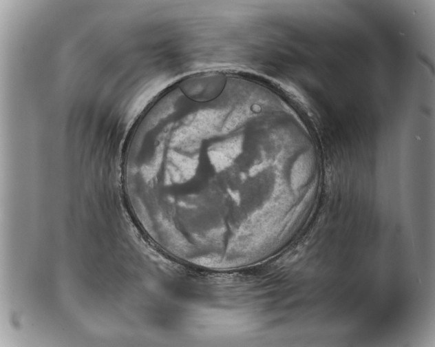 X0000099531279200806131119