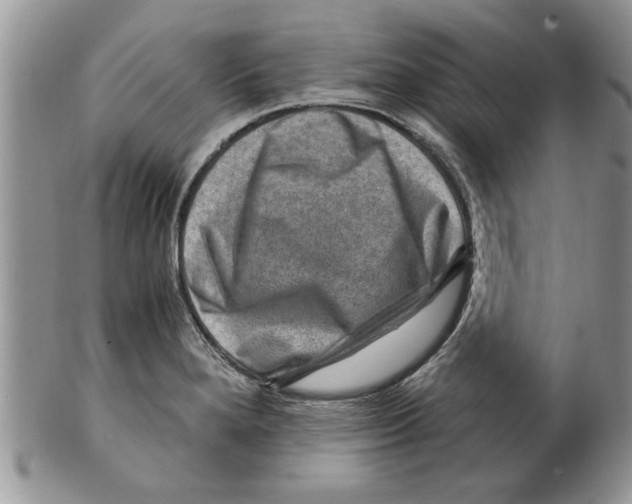 X0000099531280200806131119