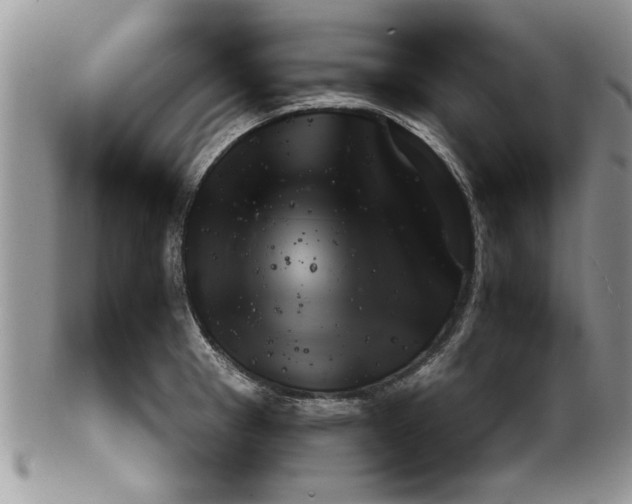 X0000099531281200806131119