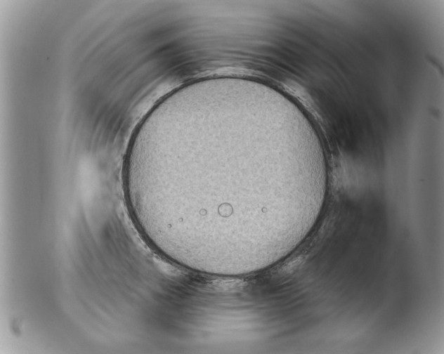 X0000099531282200806131119