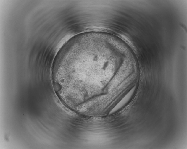 X0000099531283200806131119