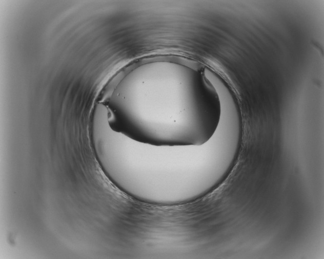 X0000099531284200806131119