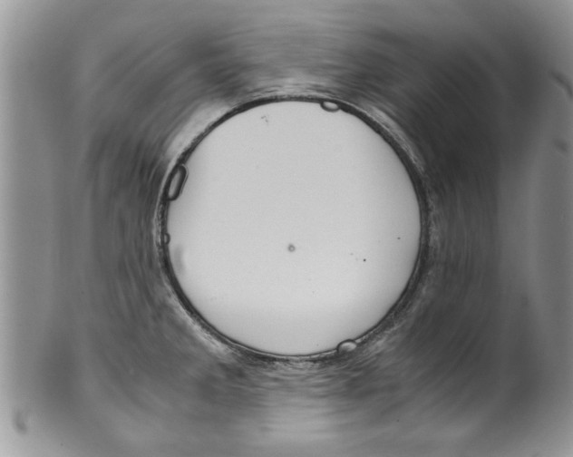 X0000099531285200806131119