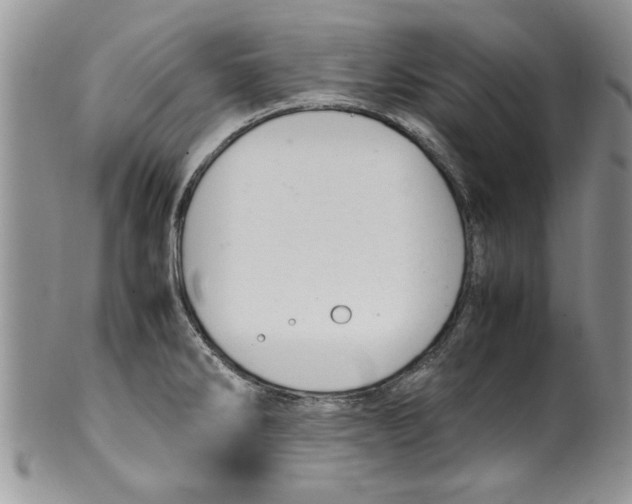 X0000099531286200806131119