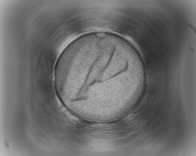 X0000099531287200806131119