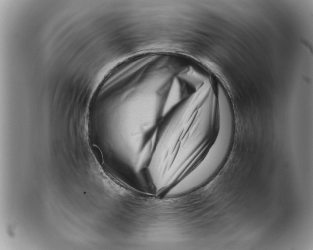 X0000099531288200806131119