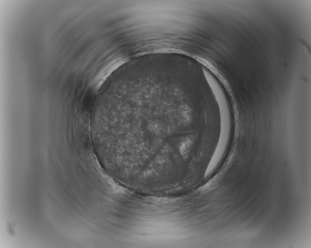 X0000099531289200806131119