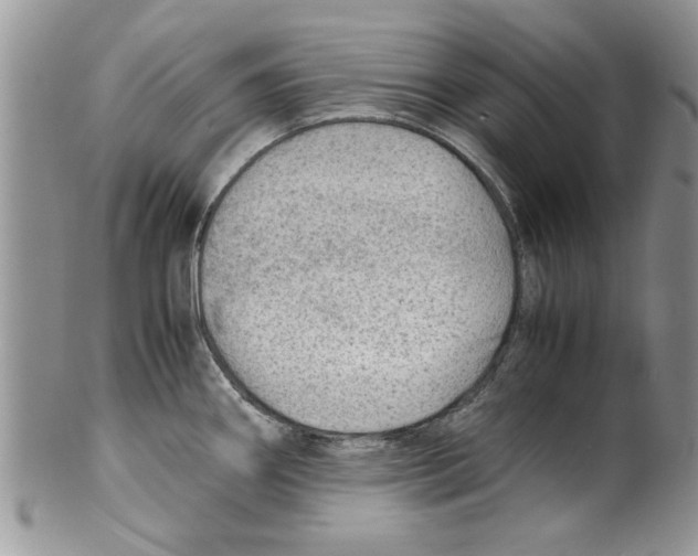 X0000099531290200806131119