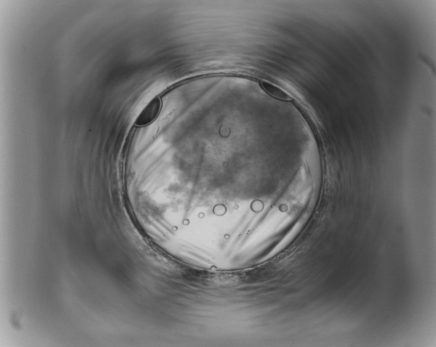 X0000099531291200806131119