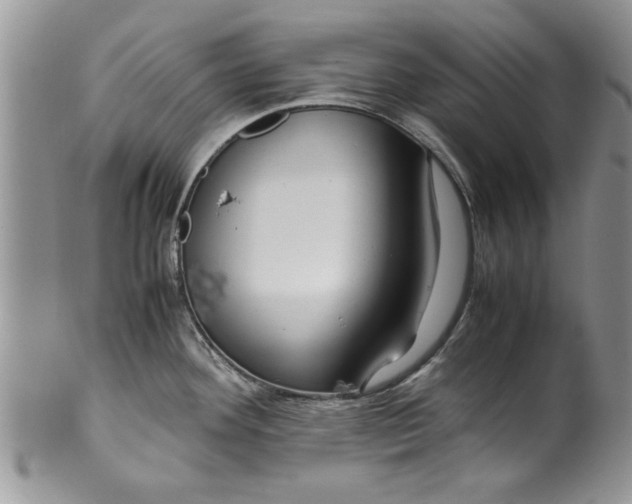 X0000099531292200806131119