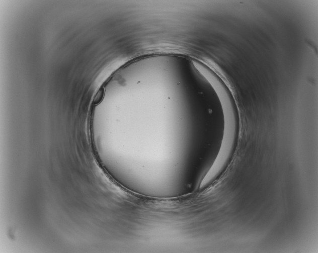 X0000099531293200806131119