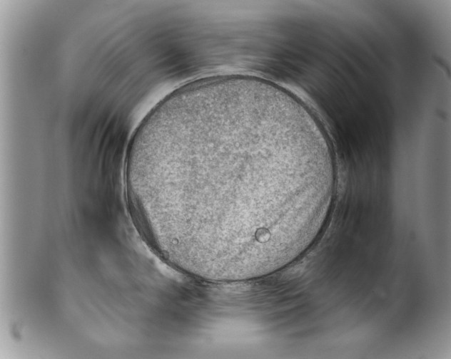 X0000099531294200806131119