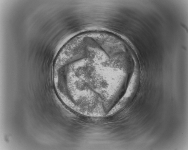 X0000099531295200806131119