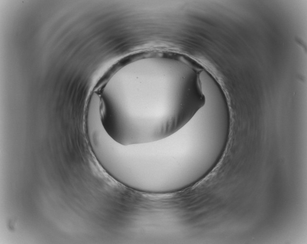 X0000099531296200806131119