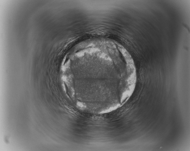 X0000099531297200806131118