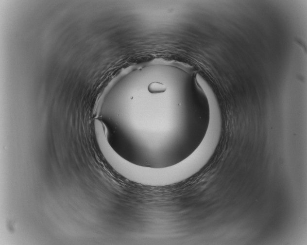 X0000099531298200806131118